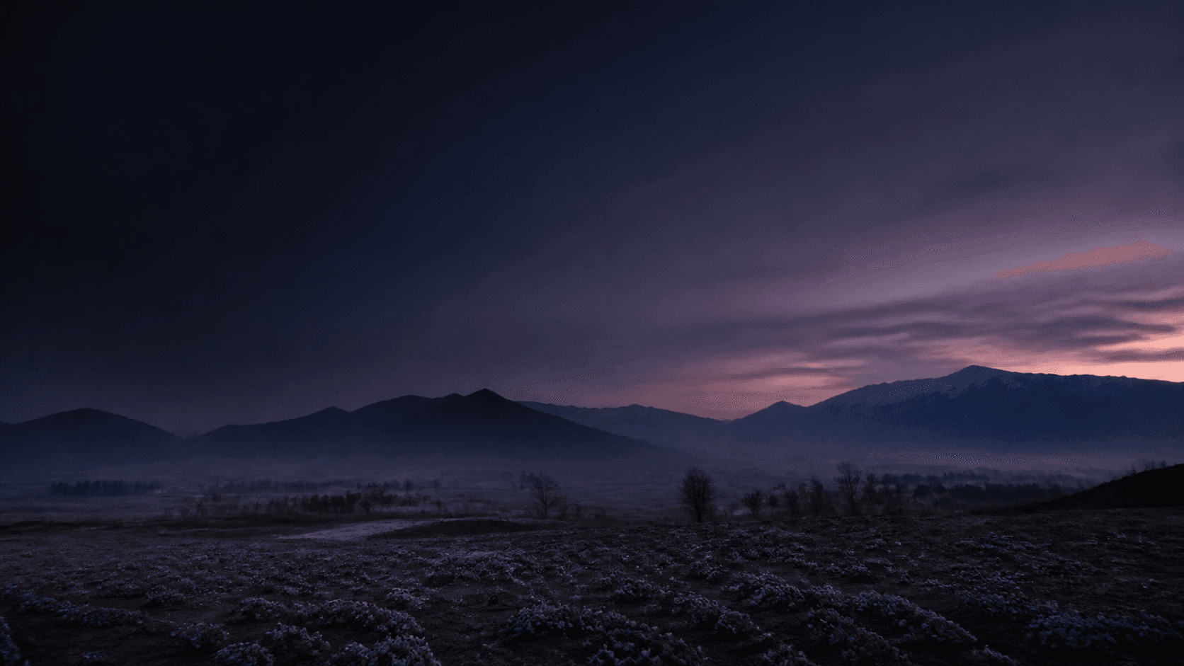Saffron fields beneath the Kashmir mountains at twilight